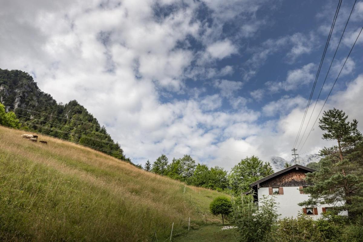 Ferienwohnung Alpenglueck ماركتشيلنبيرغ المظهر الخارجي الصورة